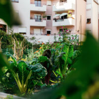 UrbaBio © Elmerjack.com